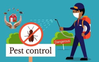 Pest Control in Kolkata