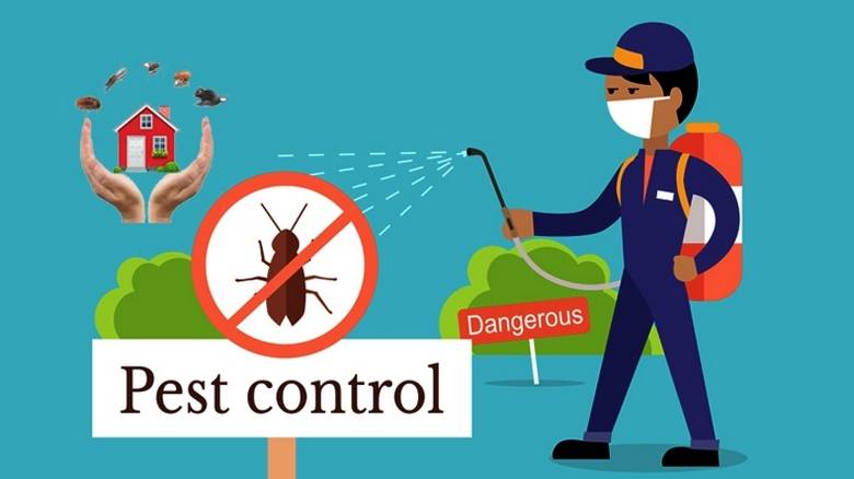 Professional pest control team