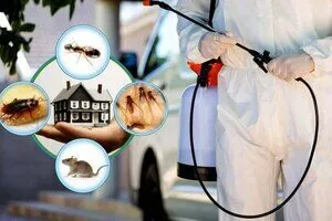 Top-Rated Residential Pest Control in Kolkata by Golden Pest Solutions.