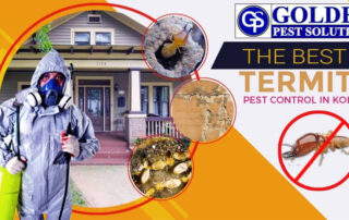 Pest Control near me in Kolkata