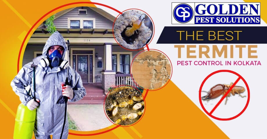 Pest Control near me in Kolkata