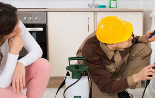 Golden Pest Solutions is dedicated to providing effective and reliable pest control services in Kolkata, using advanced techniques and eco-friendly methods. Whether you’re a homeowner looking to protect your family or a business aiming to maintain high standards of hygiene, we have customized solutions to meet your needs.