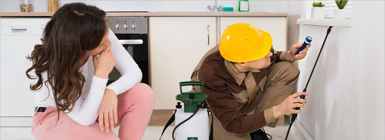 Golden Pest Solutions is dedicated to providing effective and reliable pest control services in Kolkata, using advanced techniques and eco-friendly methods. Whether you’re a homeowner looking to protect your family or a business aiming to maintain high standards of hygiene, we have customized solutions to meet your needs.