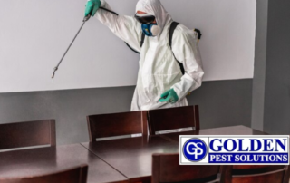 Eco friendly pest control