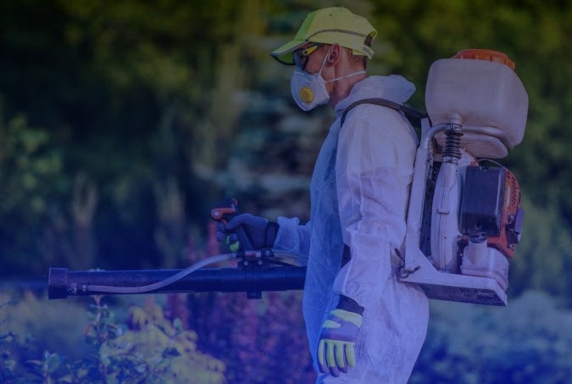 Fly Control Program Background Fly Control Kolkata | Golden Pest Solutions