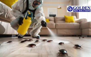 is pest control safe