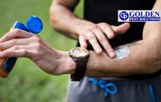 How to Repel Mosquitoes Naturally