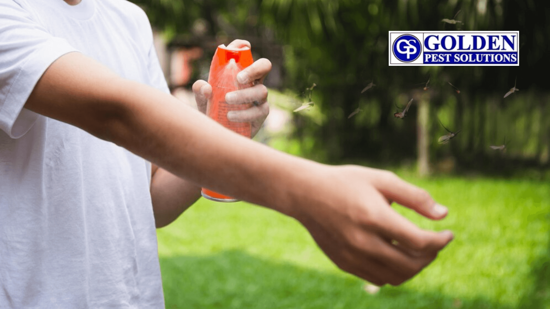  mosquito control Smelly Plant Oils