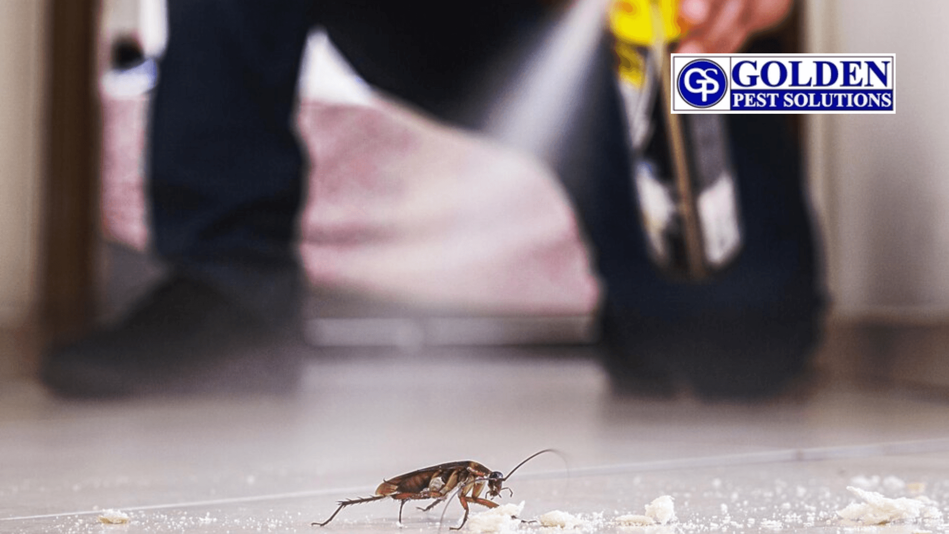 poison use on pest to terminate it in commercial pest control