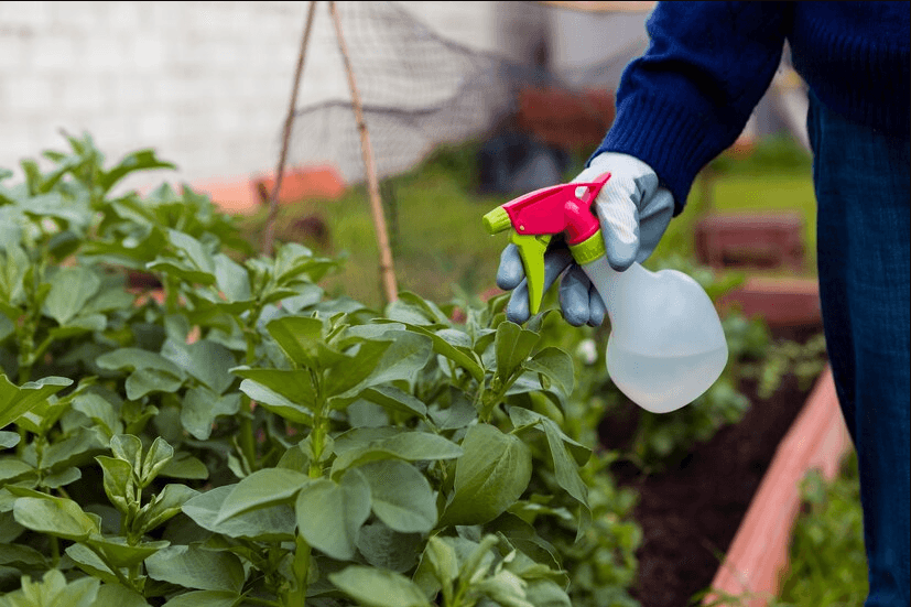 Utilize Larvicidal Pesticides