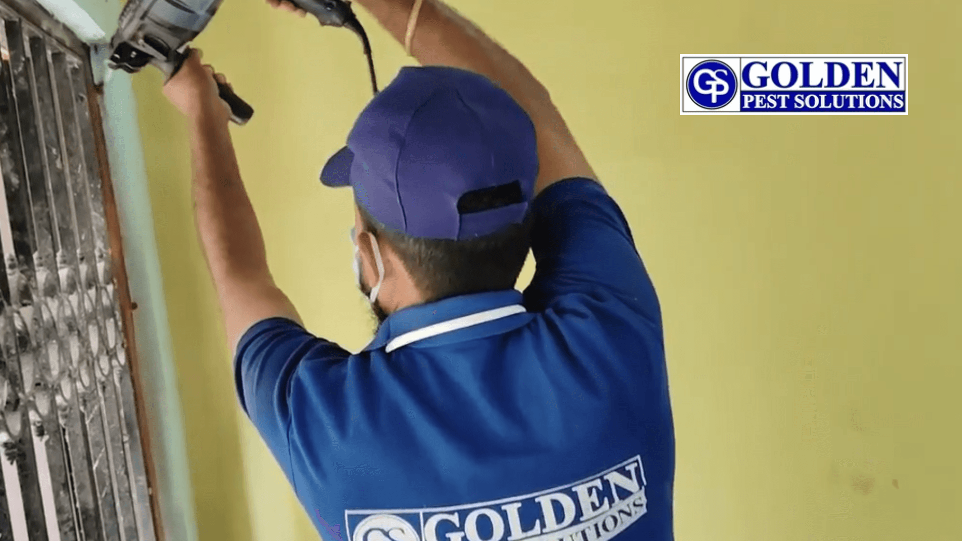 pest control cost in Kolkata