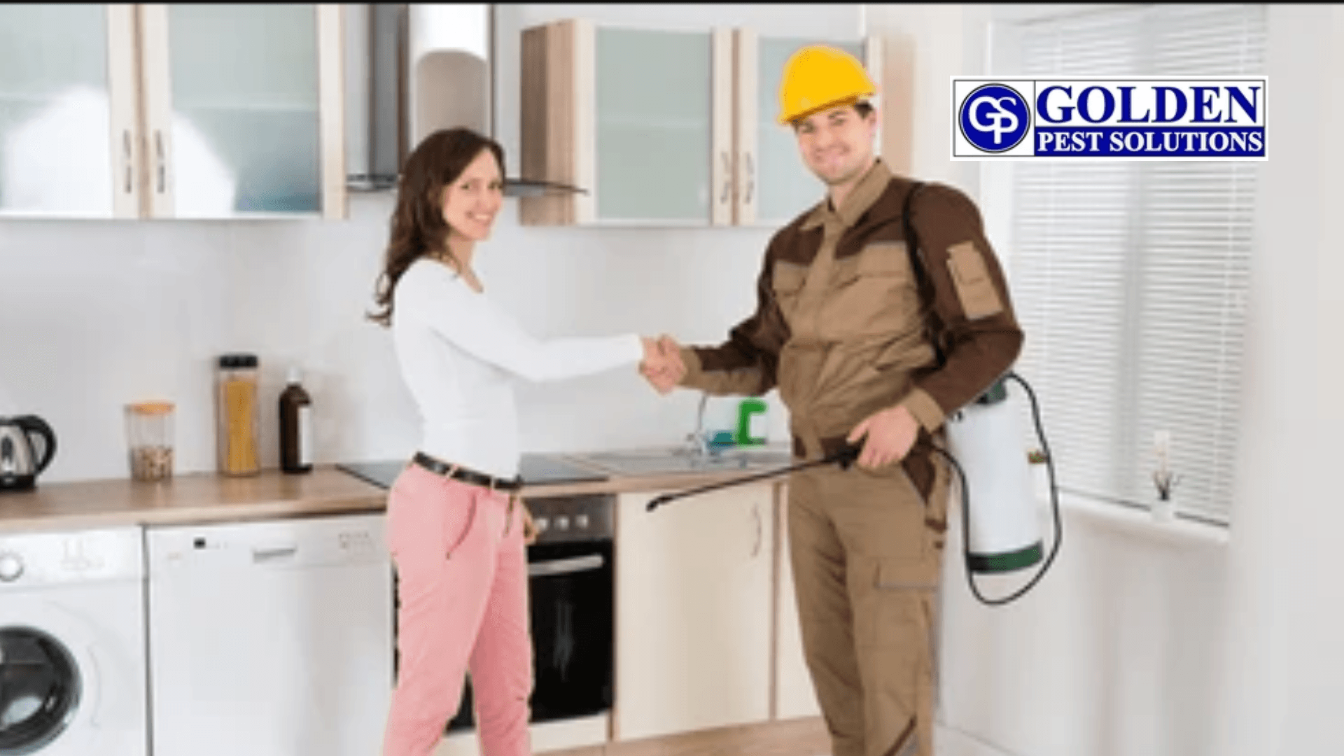 pest control pricing