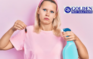 Effective Pest Control for Cockroaches