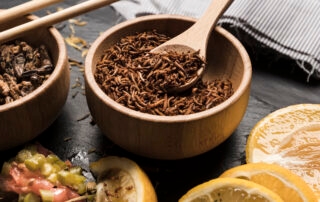 termite-treatment-Kolkata