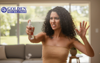 fly control by a hot lady