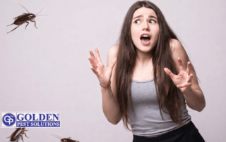 Frightened young woman recoiling with raised hands as cockroaches appear around her against a light background, with a pest control company logo visible. cockroach control by golden pest solutions