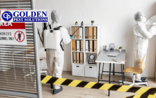 Emergency Pest Control in Kolkata When is it Time to Call in Professionals