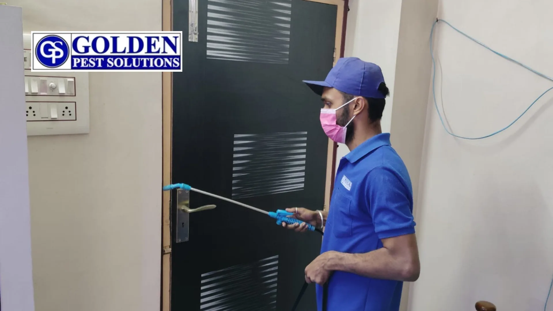 Pest Control Method Works Best in Apartments and Flats