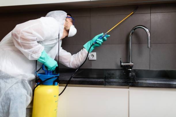 Regular House Pest Control