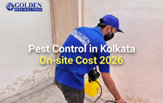 Pest control Kolkata cost