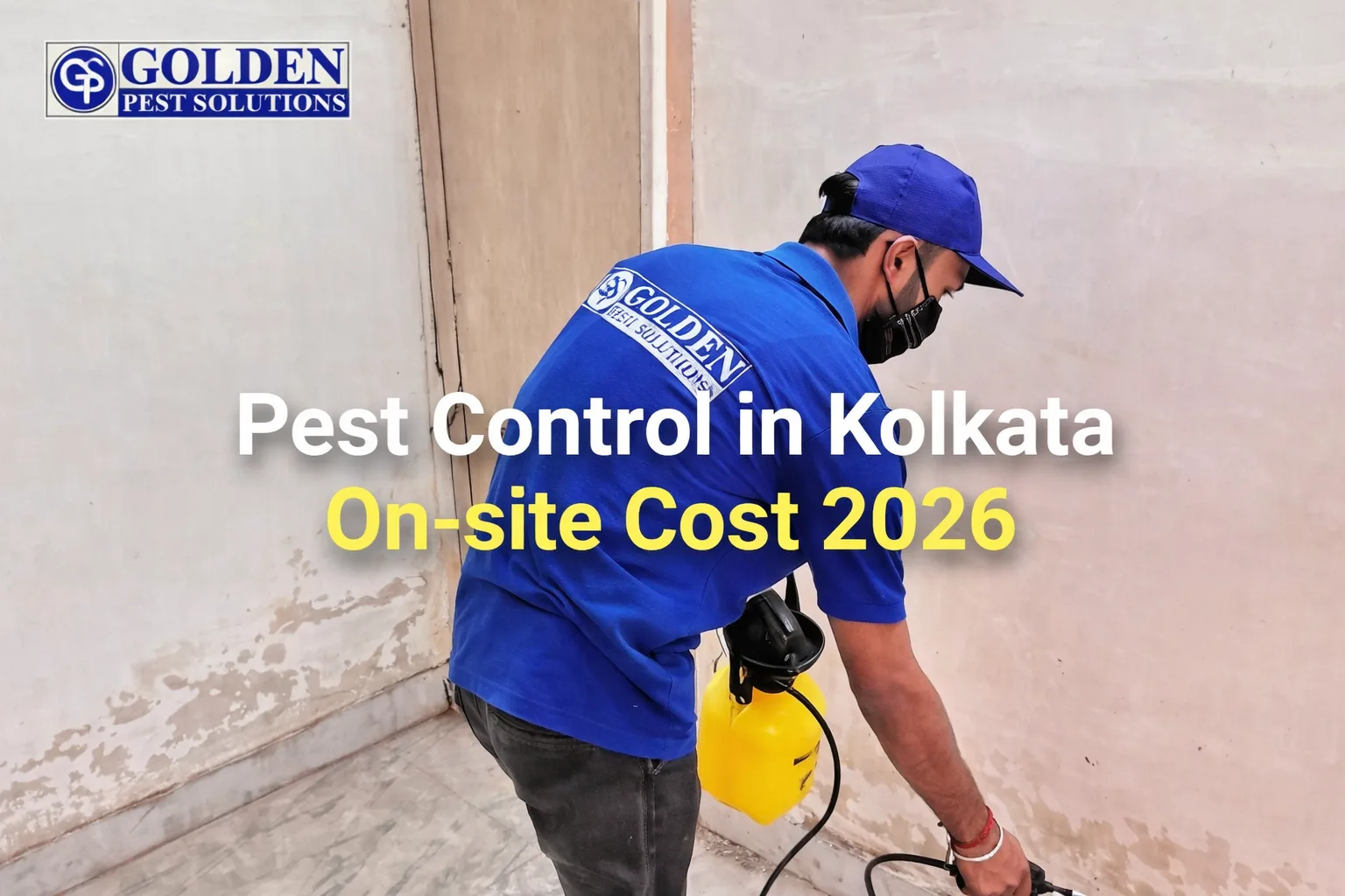 Pest control Kolkata cost