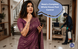 Complete Whole House Pest Control in Kolkata: What Every Homeowner Should Know