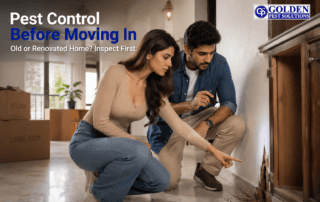 Pest Control Before Moving Into an Old or Renovated Home in Kolkata