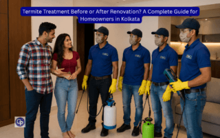 Termite Treatment Before or After Renovation A Complete Guide for Homeowners in Kolkata