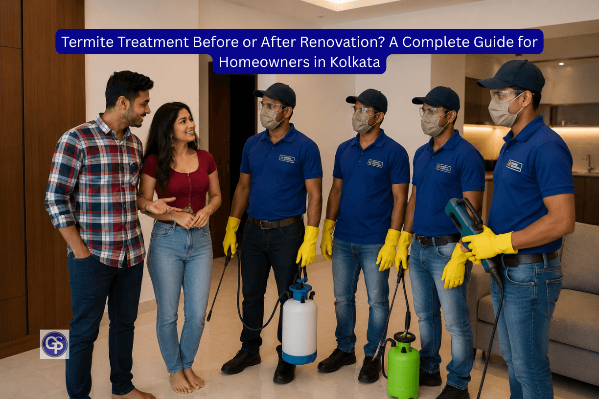 Termite Treatment Before or After Renovation A Complete Guide for Homeowners in Kolkata