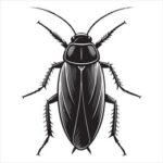 Cockroach