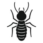 Termite