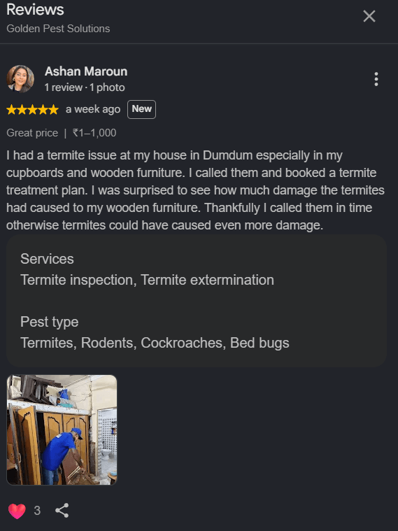 golden pest solutions review by Ashan Maroun